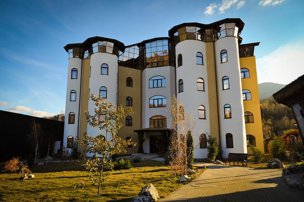 彼得罗沙尼 Castelul De Vis酒店 外观 照片