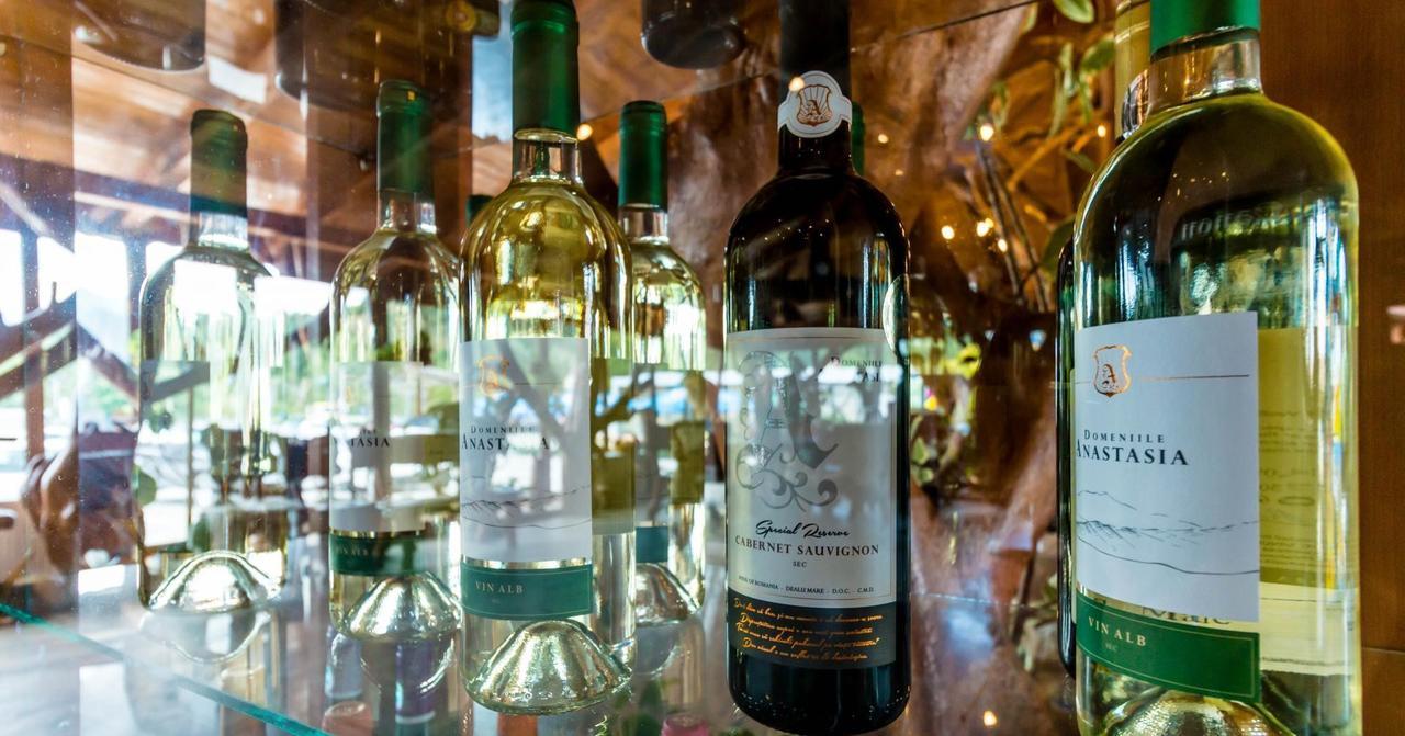 彼得罗沙尼 Castelul De Vis酒店 外观 照片