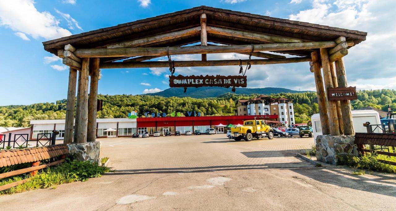 彼得罗沙尼 Castelul De Vis酒店 外观 照片
